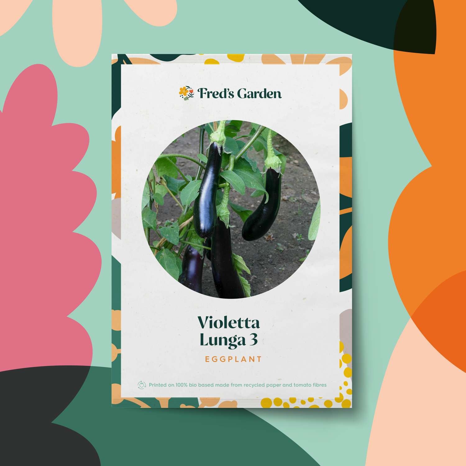 Aubergine 'Violetta Lunga 3' (BIO zaden)